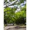 公園
