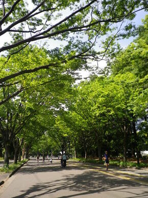 駒沢オリンピック公園