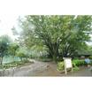 公園