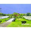 公園