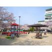 公園