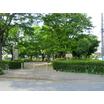 公園