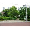 公園