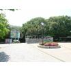 公園