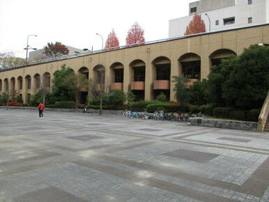 台原森林公園