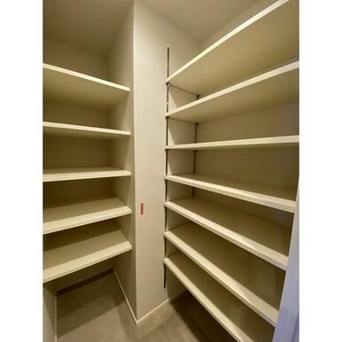 SIC 2026年1月撮影