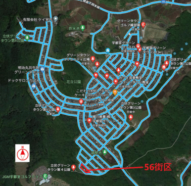 青ラインは道路です