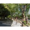 公園