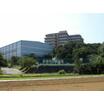 大学