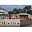 幼稚園、保育園