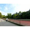 公園