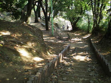 公園が目の前