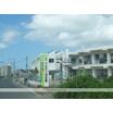 幼稚園、保育園
