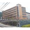 大学