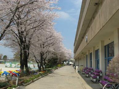 船橋市立大穴小学校