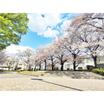 公園