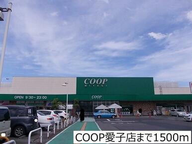 ＣＯＯＰ愛子店