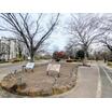 公園