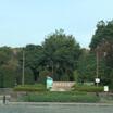 公園