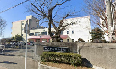 ◇桜中学校