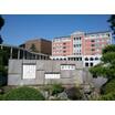 大学