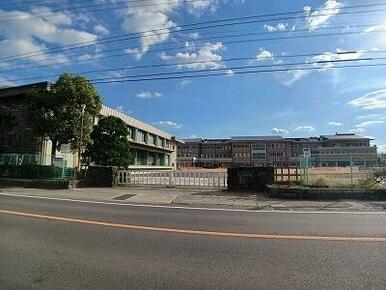 さぬき市立長尾小学校さん