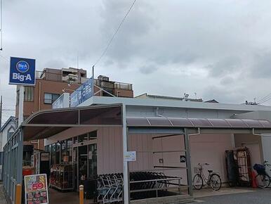 ビッグ・エー川口安行店