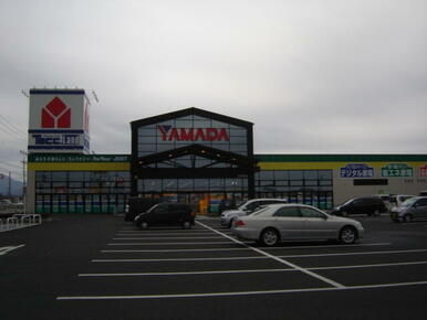 ヤマダ電機