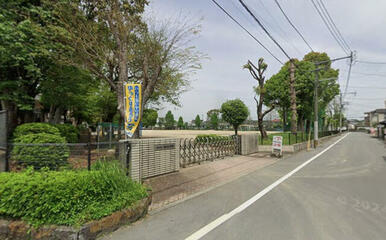 桜木小学校