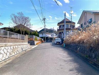 2026年1月撮影