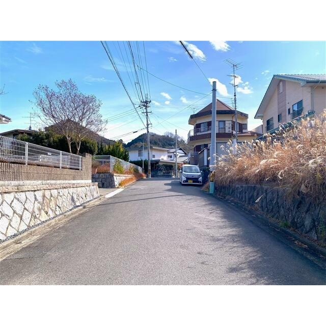 2026年1月撮影