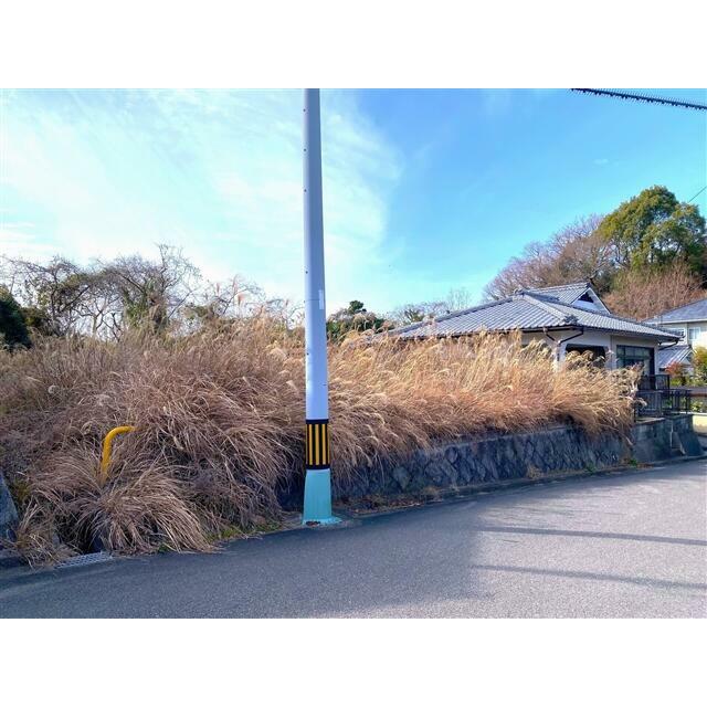 2026年1月撮影