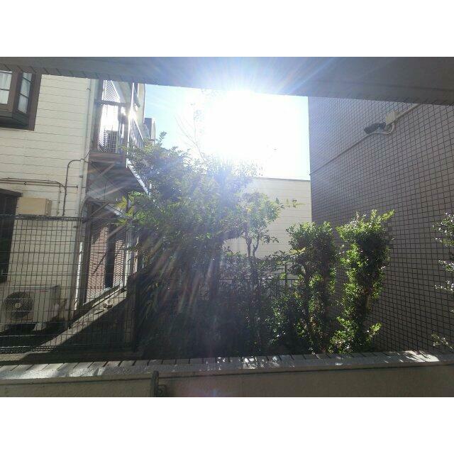 バルコニーからの眺望