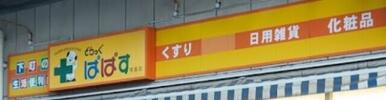どらっぐぱぱす本一色店