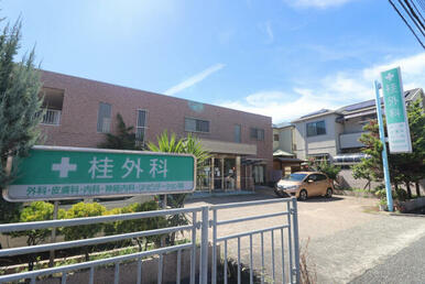 桂外科