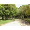 公園
