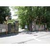 公園