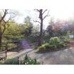 公園