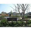 公園
