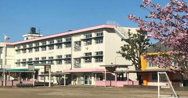 桜町小学校