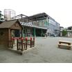 幼稚園、保育園