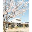 幼稚園、保育園