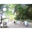 公園