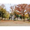 公園