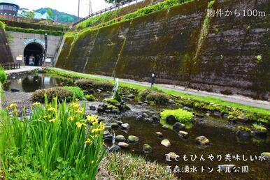 夏でも冷たい湧き水で涼しく快適な地域♪