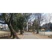 公園