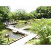 公園