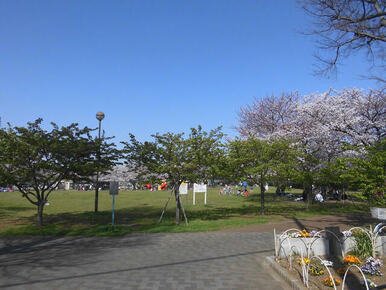 桜川公園