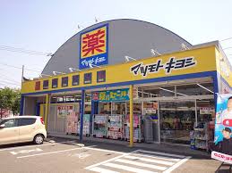 マツモトキヨシ向新町店