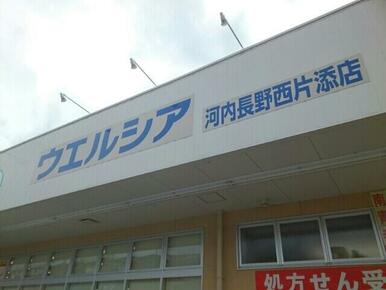 ウエルシア河内長野西片添店様